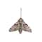 Assorted Metal Moth Wall D&#xE9;cor by Ashland&#xAE;, 1pc.